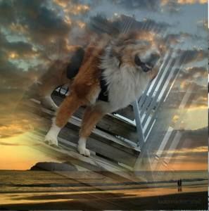 Meet your Posher, Inta